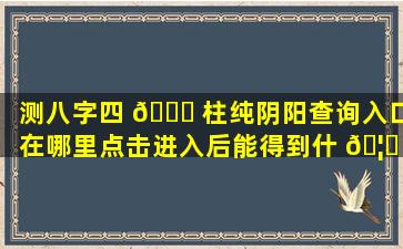 测八字四 🐞 柱纯阴阳查询入口在哪里点击进入后能得到什 🦋 么